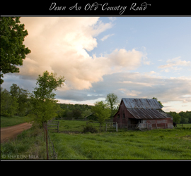 Down An Old Country Road by Sharon Irla