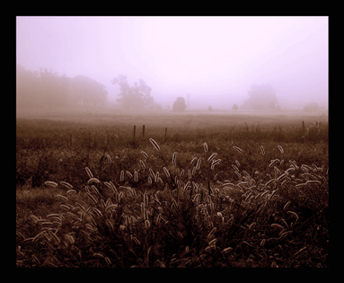 October Morning Fog by irla